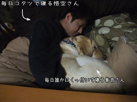 紫音さんと悟空さん