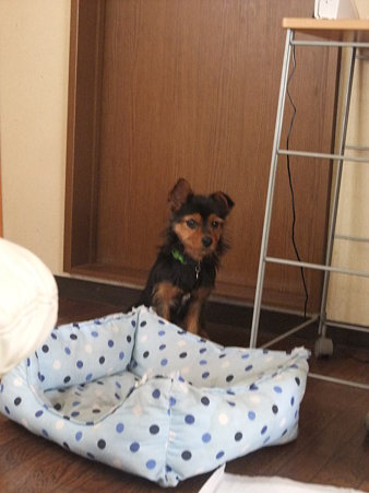 ベッドどうぞ♪