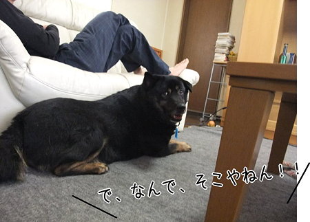 なぜ・・・