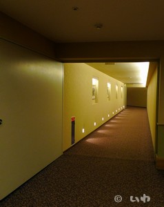 324.jpg