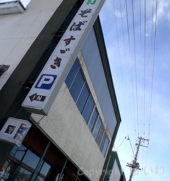 すずき P1080347