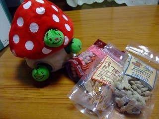 2010_03040035