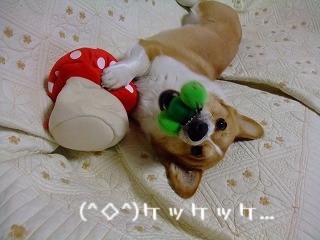 2010_03040045