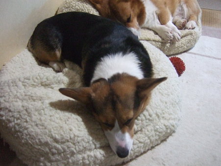 2010_01302010.1月末まで0010