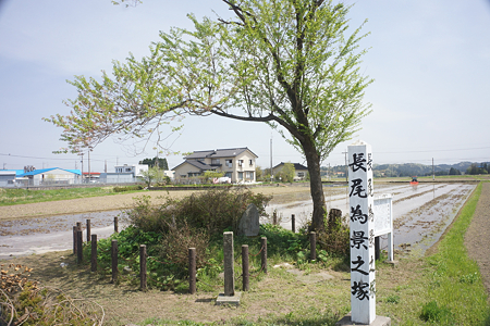 長尾為景塚 - 2