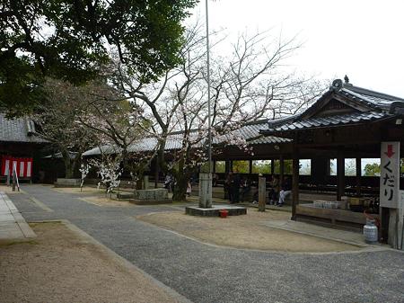 P1020959
