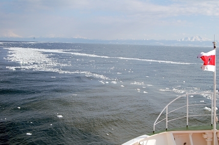 流氷がちょっぴり見える