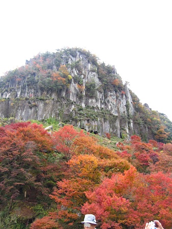 一目八景