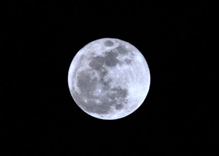 DSC_7224b