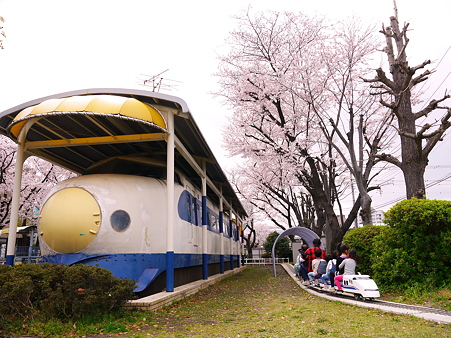 桜と新幹線