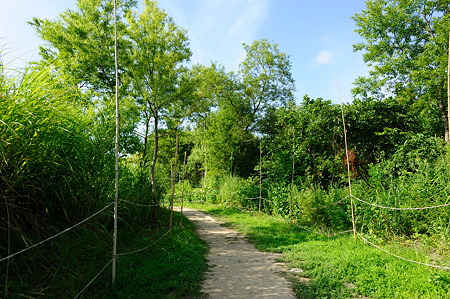 1108141539_DSC_6186