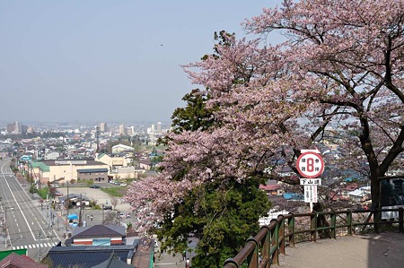 1005050828_DSC_5056