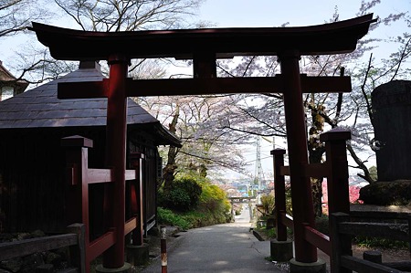 1005050838_DSC_5119