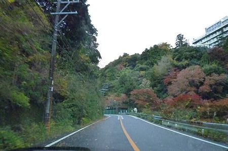 1011230644_P1710558