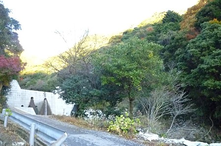 1011230714_P1710568