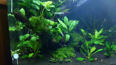 DSCF3682