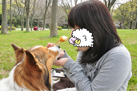 写真 2