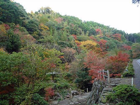 山中渓谷の紅葉