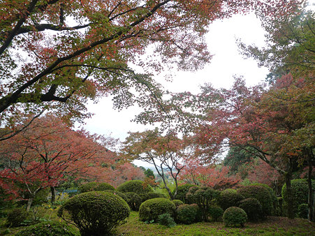 九年庵
