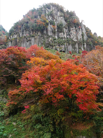 一目八景展望台からの眺め(1)