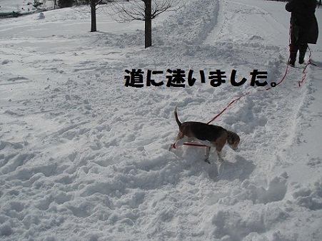 DSCF6037
