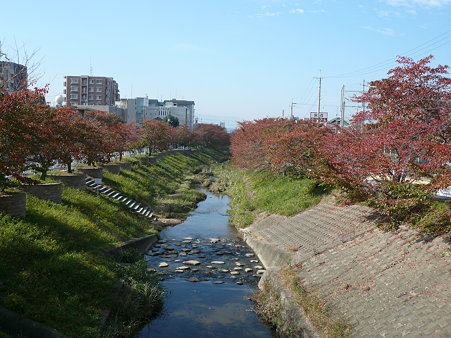 P1020236