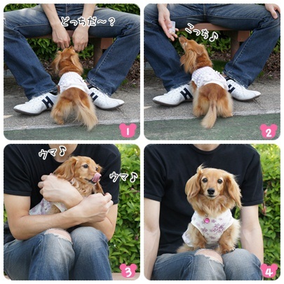 20120519 ボーロは左右、どっちだ?!