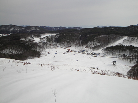 DSC04730