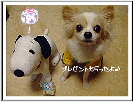 プレゼント