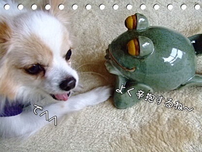 (o´ェ`o)ゞエヘヘ~