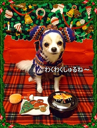 ワクワク♪