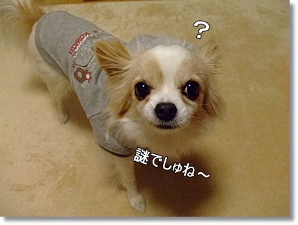 謎