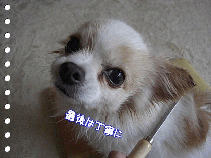 お願い