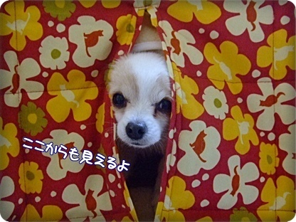 ここからも…
