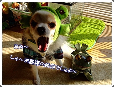 DSCF4959