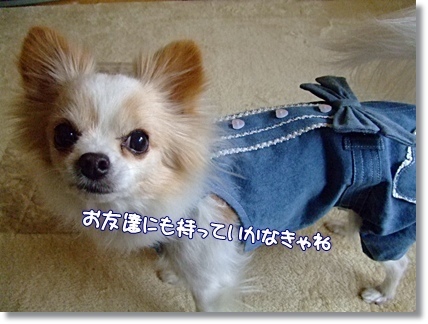お友達にもね