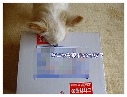 どこから