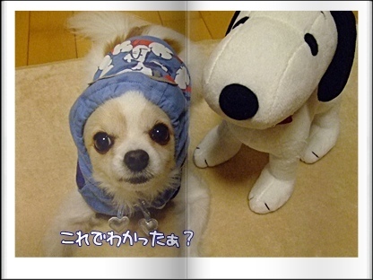 わかった