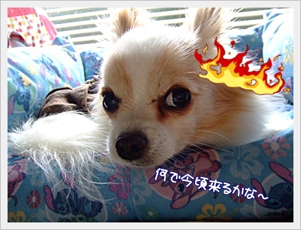 何で?