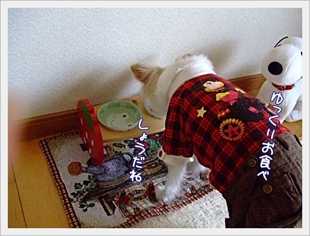ゆっくりお食べ