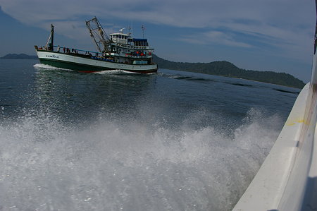 IMGP5957