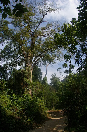 IMGP6158