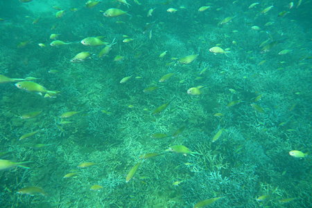 P1000509