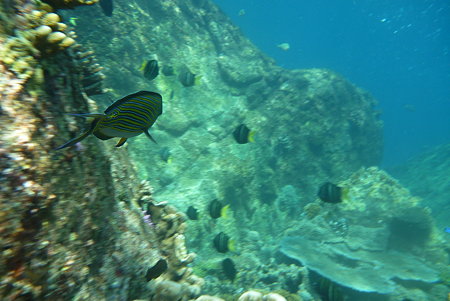 P1020578