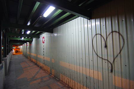 IMGP5085