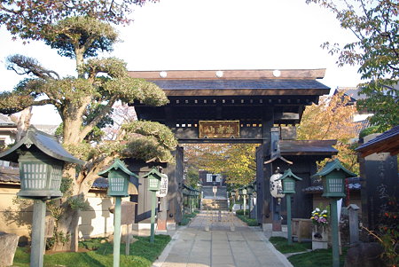 IMGP3280
