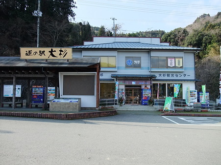 高知01・大杉1
