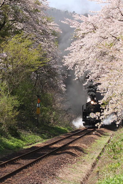 蒸気機関車