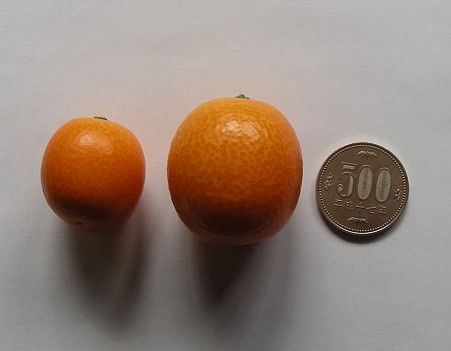 DSCN0596