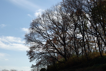 20101211_134202_0